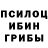 Галлюциногенные грибы Psilocybe maxproject