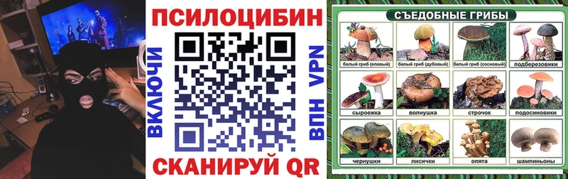ОМГ ОМГ tor  Олонец  Галлюциногенные грибы мухоморы 