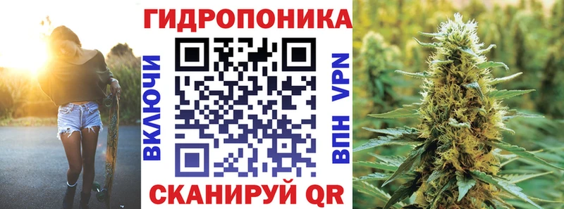 где купить наркоту  Олонец  Шишки марихуана Amnesia 